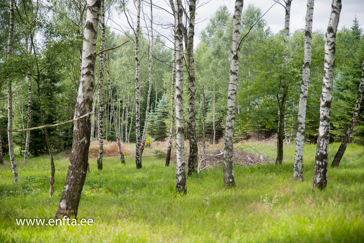 047 Targets everywhere